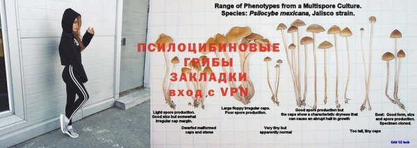 крисы Верхнеуральск